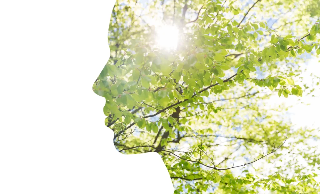 From Philosophy to Psychology: How Ontology Shapes the Mind