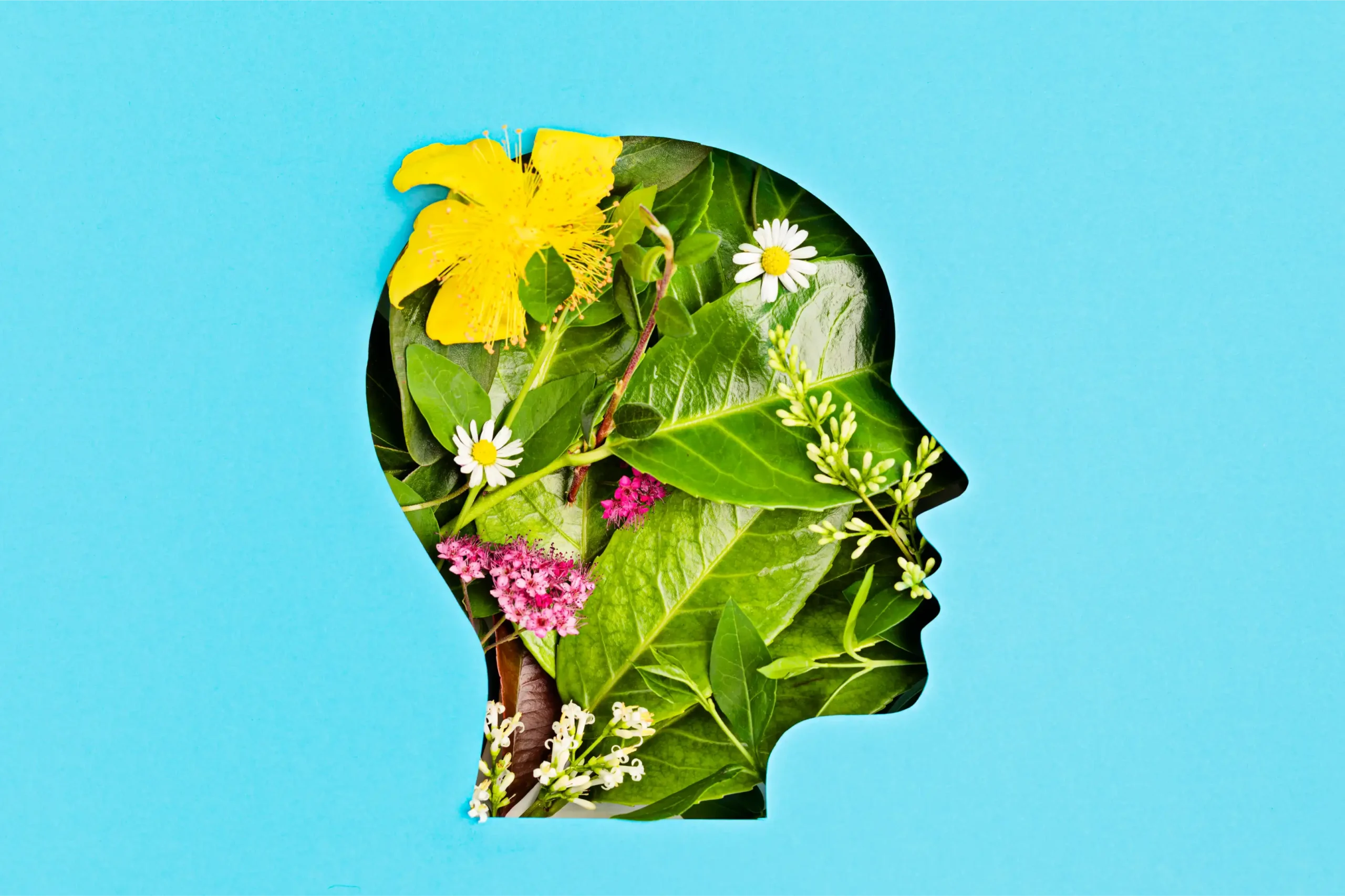 The Science Behind Ontology What It Means for Mental Health
