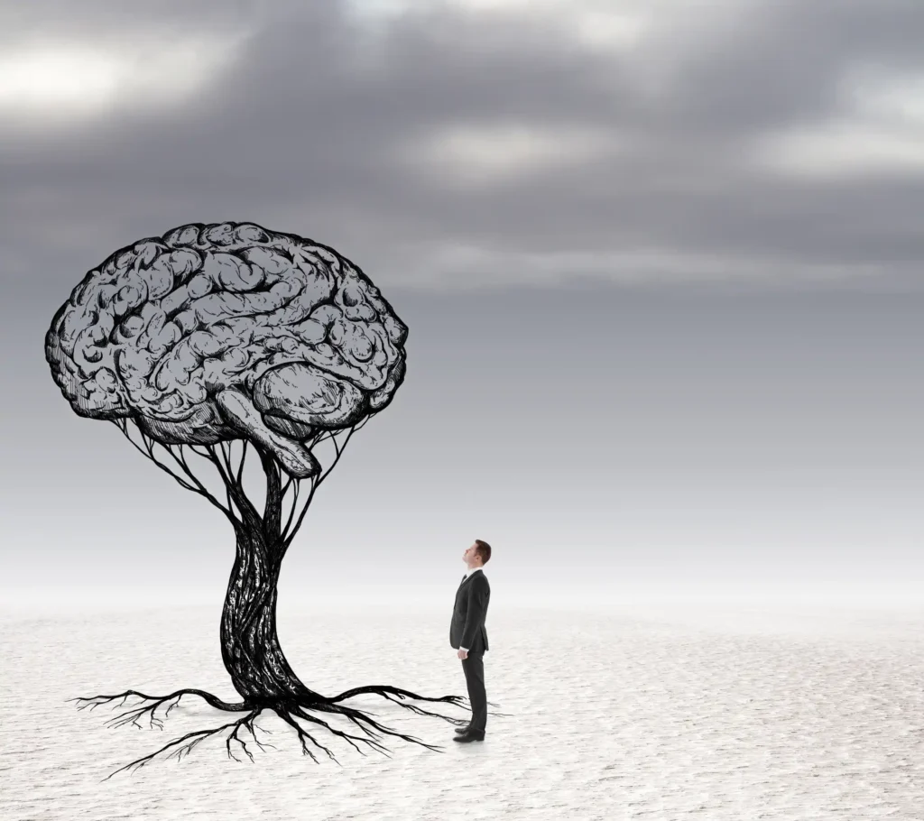 Can Mental Health Be Mapped? Ontology Says Yes